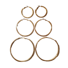 Load image into Gallery viewer, Hoochie Hoops Earring Set | Gold
