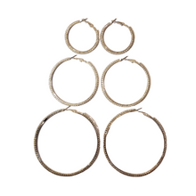 Load image into Gallery viewer, Hoochie Hoops Earring Set | Silver
